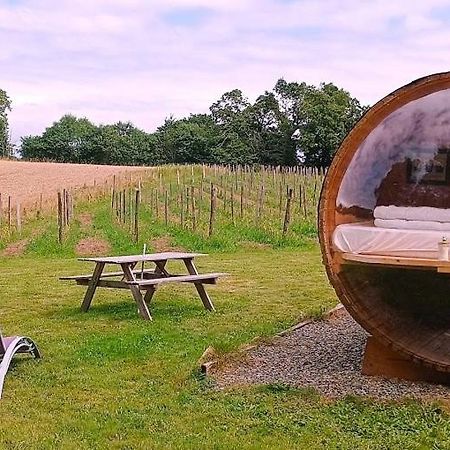 Tonneau Bulle Insolite, Vue Sur Vignoble Pouldergat エクステリア 写真